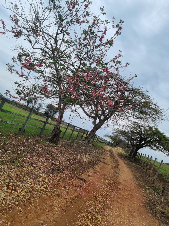 Chacara Jequitiba Vila Itu Exterior foto